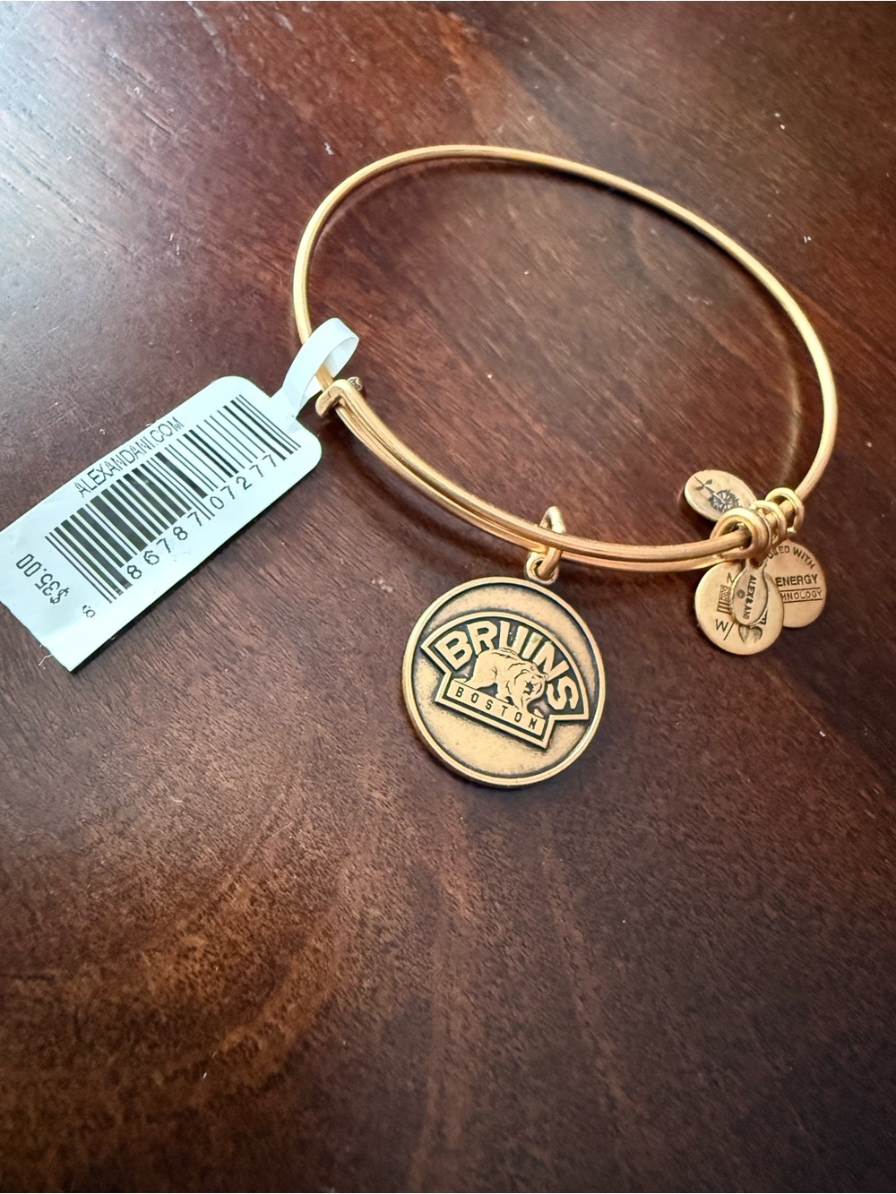 Boston Bruins Alex and Ani Rafaelian Gold Finish Bear Logo Charm Bangle NWT